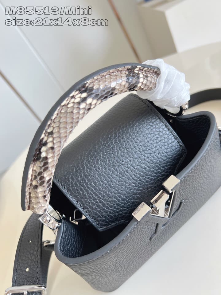 Louis Vuitton Capucines Mini Handbag