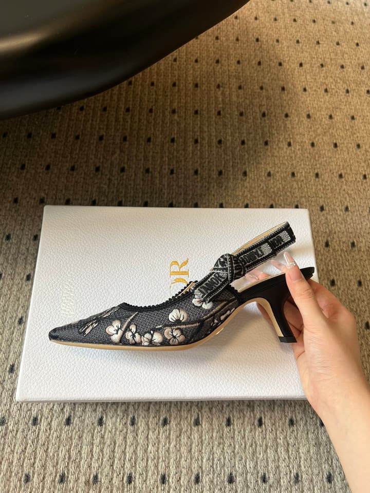 Dior Classic Multi-Color Embroidered Pumps in Black Silver Sparkle