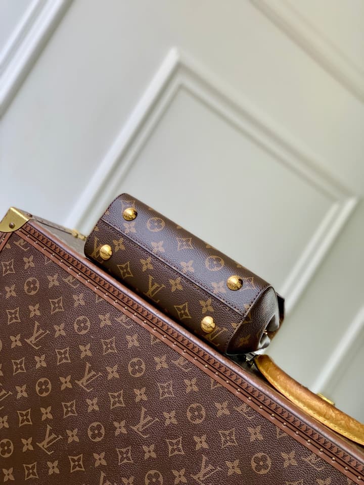 Louis Vuitton Cluny Mini Handbag in Monogram Canvas With Natural Leather Trim