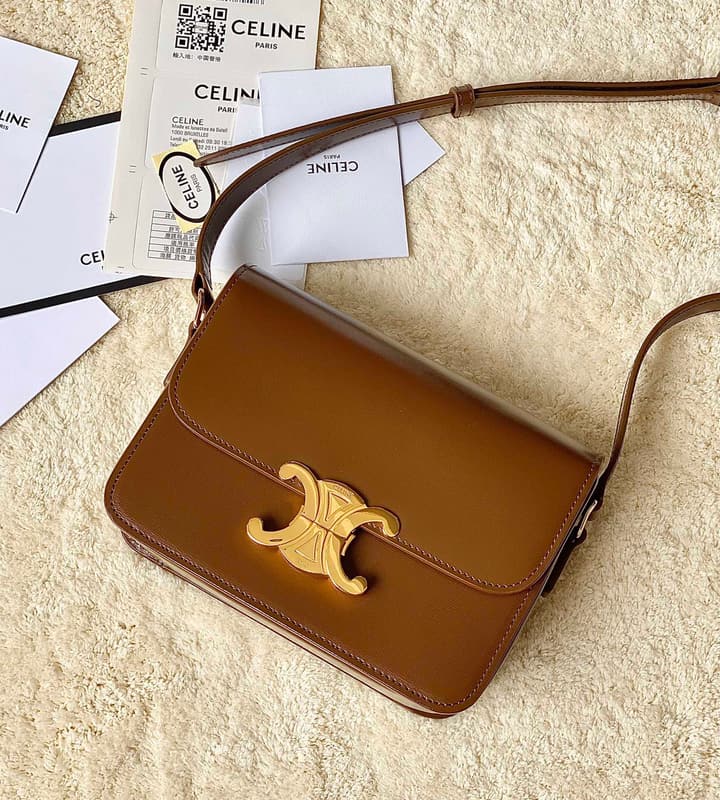 Celine Triomphe Box Calfskin Bag in Burnt Orange