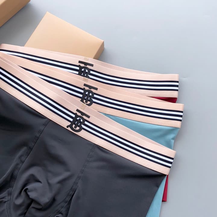 Burberry Classic TB Ice Silk Underwear Set