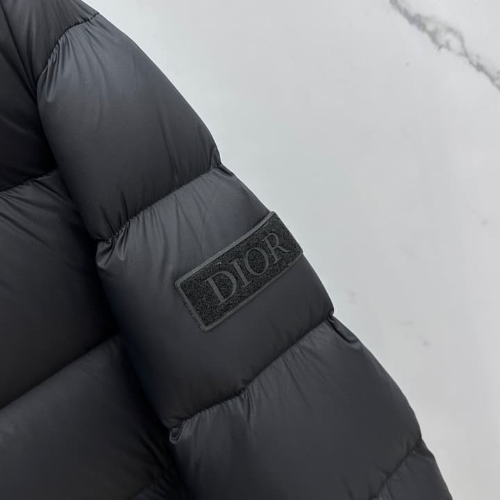 Dior Stand Collar Goose Down Puffer Jacket – 25FW in Classic Black Puffer
