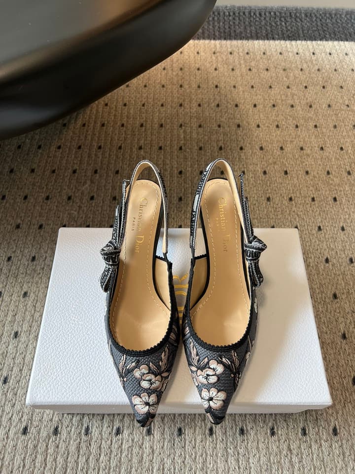Dior Classic Multi-Color Embroidered Pumps in Black Silver Sparkle