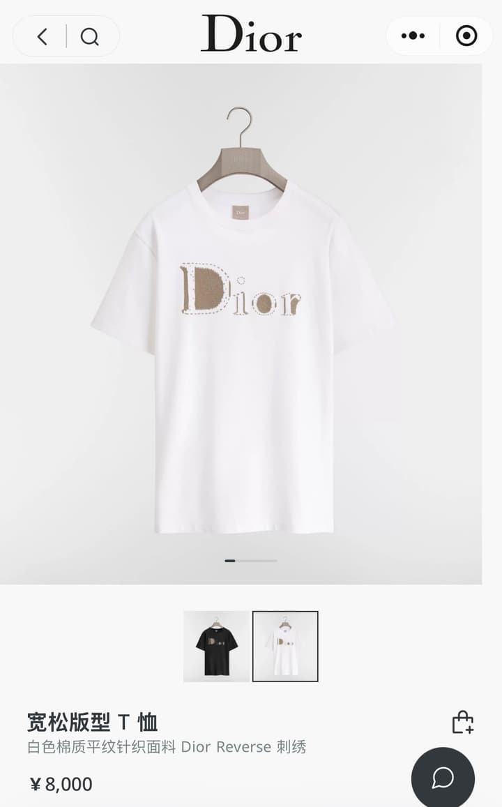 Dior Reverse Embroidered Loose Fit T-Shirt – Summer Collection 2026 in Black