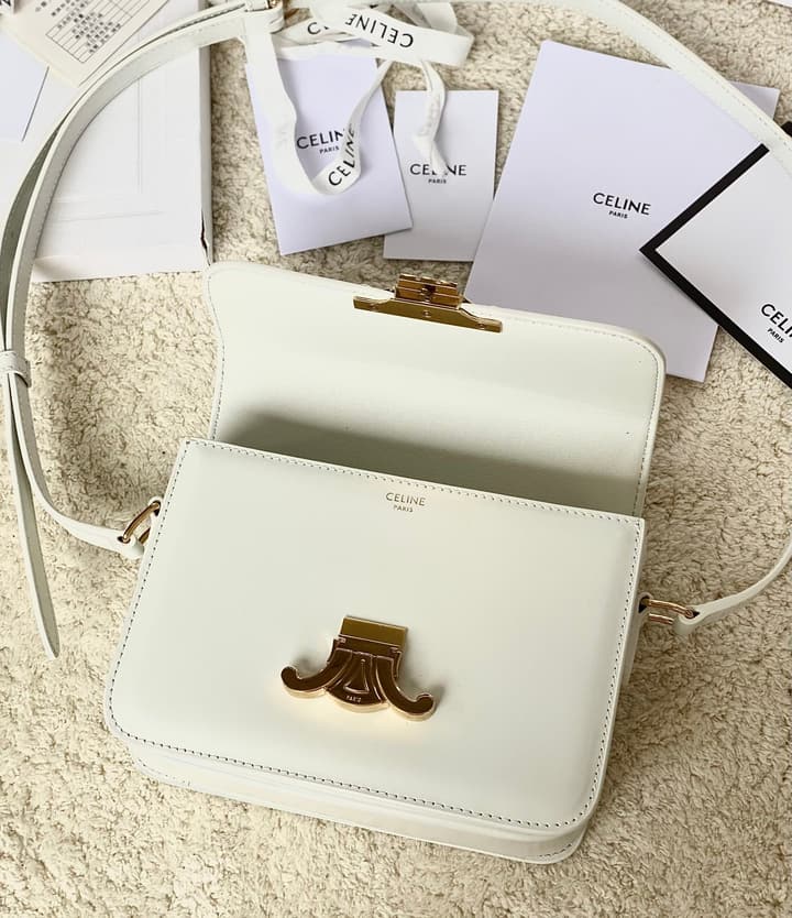 Celine Triomphe Box Calfskin Bag in Burnt Orange