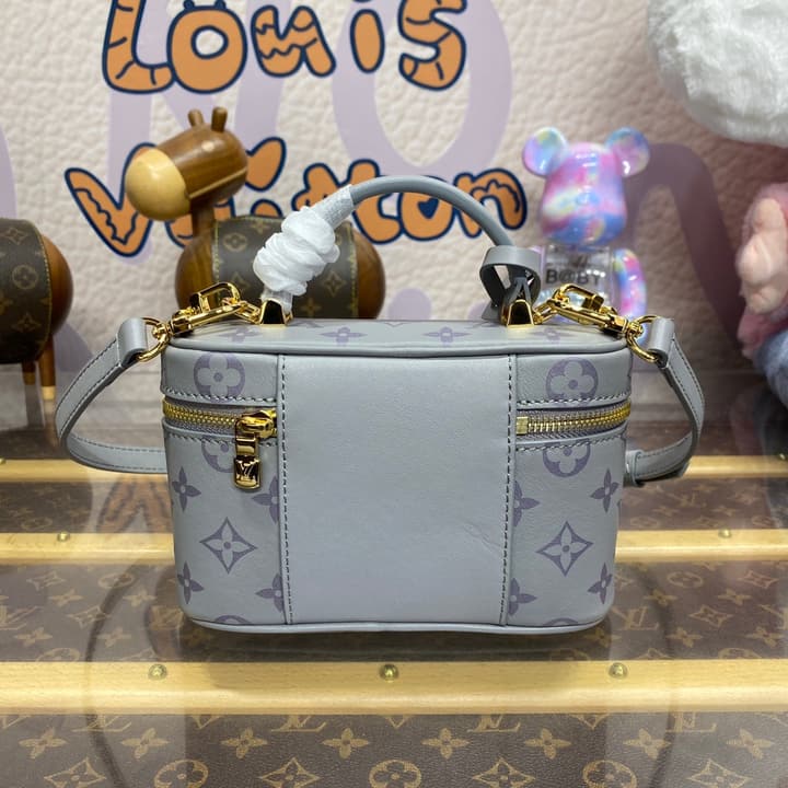 Louis Vuitton Monogram Vanity Chain Pouch – FW24