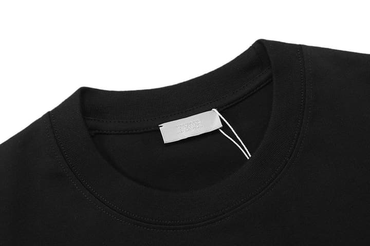 Dior x Stone Island Distressed Logo T-Shirt – 2025SS in Black