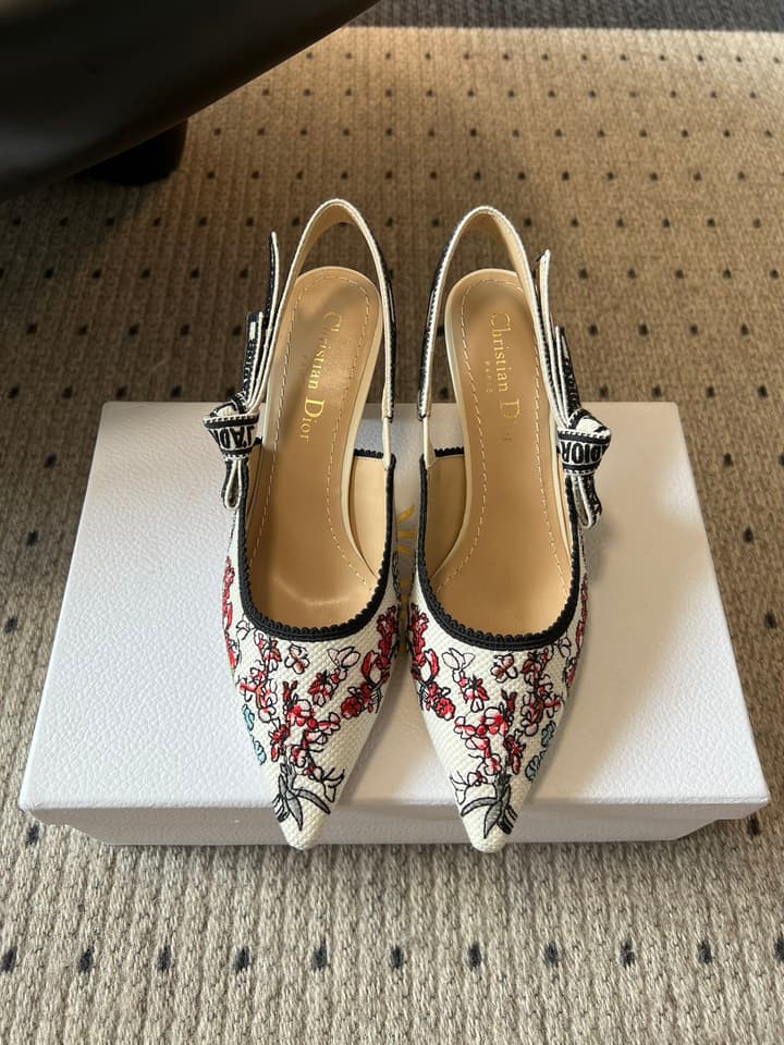 Dior Classic Multi-Color Embroidered Pumps in Black Silver Sparkle