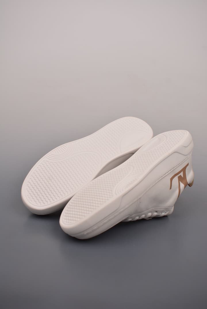 Louis Vuitton Trainer Low Sneakers