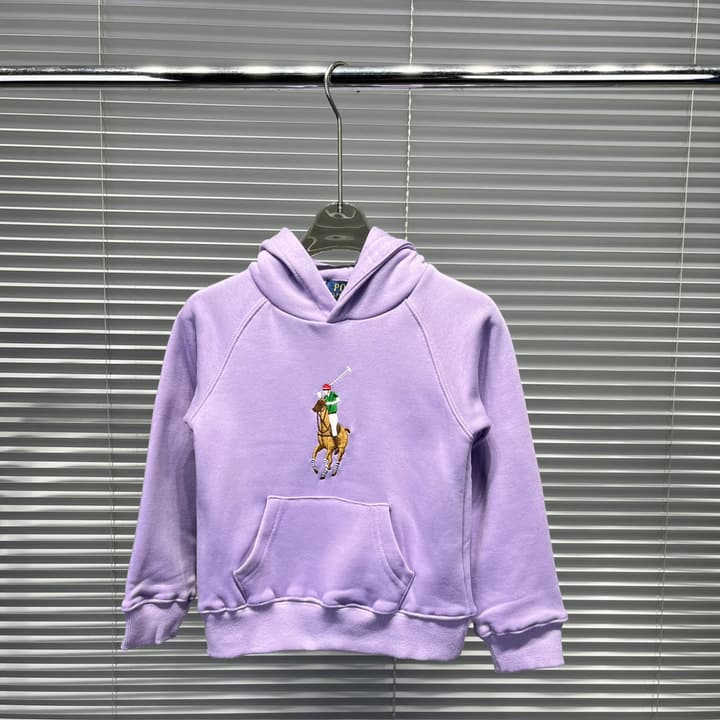 Ralph Lauren Embroidered Pony Terry Hooded Sweatshirt – Kids Collection in Bright Blue