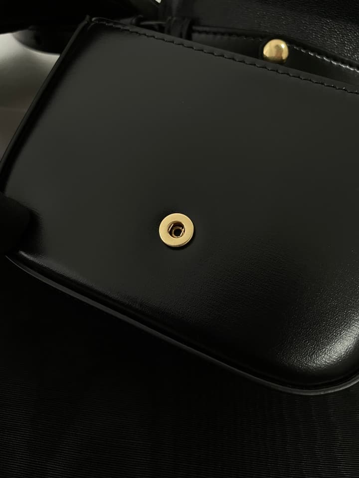 Celine Mini Triomphe Bag