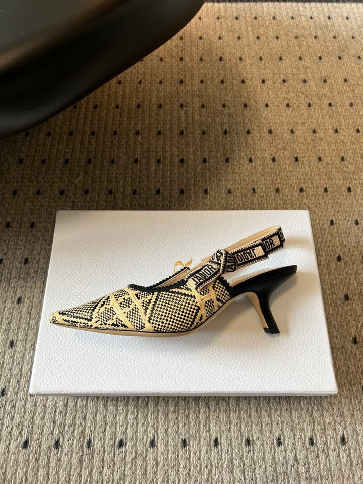 Dior Classic Multi-Color Embroidered Pumps in Black Silver Sparkle