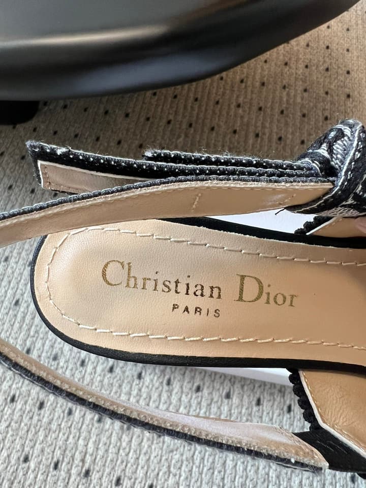 Dior Classic Multi-Color Embroidered Pumps in Black Silver Sparkle