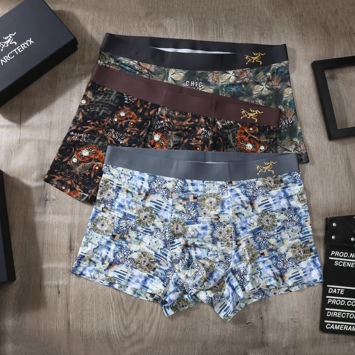 Arc'teryx Men's Ice Silk Seamless Underwear 3-Pack