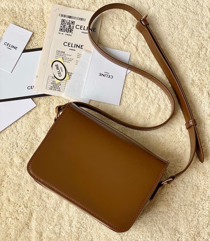 Celine Triomphe Box Calfskin Bag in Burnt Orange