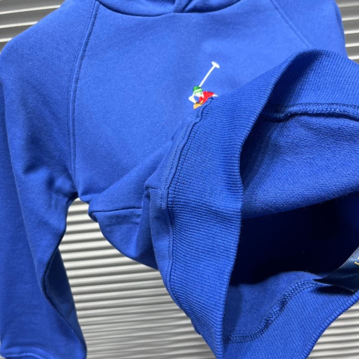 Ralph Lauren Embroidered Pony Terry Hooded Sweatshirt – Kids Collection in Bright Blue