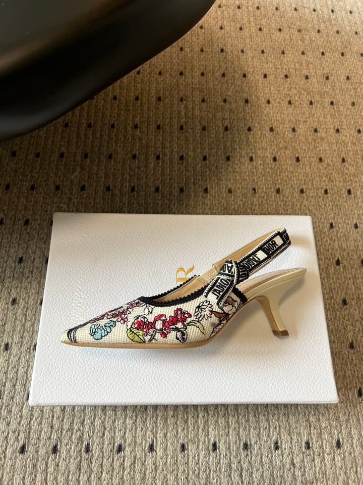 Dior Classic Multi-Color Embroidered Pumps in Black Silver Sparkle
