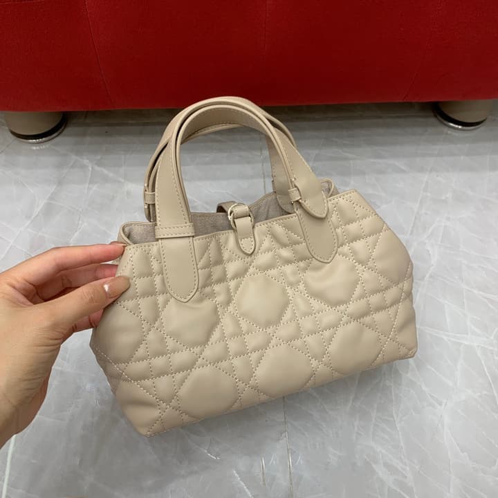 Dior Toujours Small Handbag