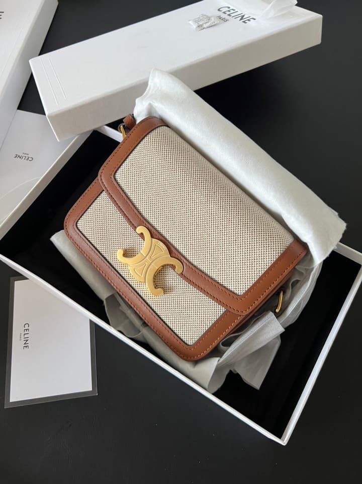 Celine Triomphe Teen Box Leopard Handbag