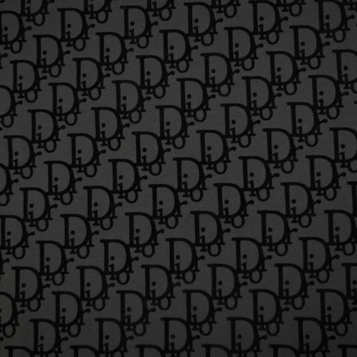 Dior Flocked Logo Print Unisex T-Shirt – 2026SS in Black