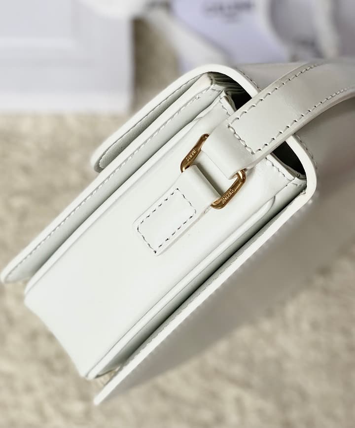 Celine Triomphe Box Calfskin Bag in Burnt Orange