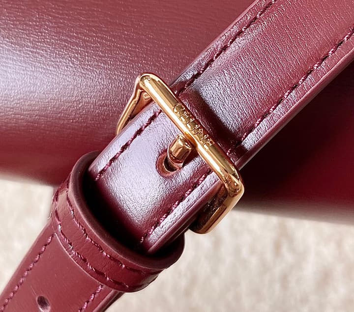 Celine Triomphe Box Calfskin Bag in Burnt Orange