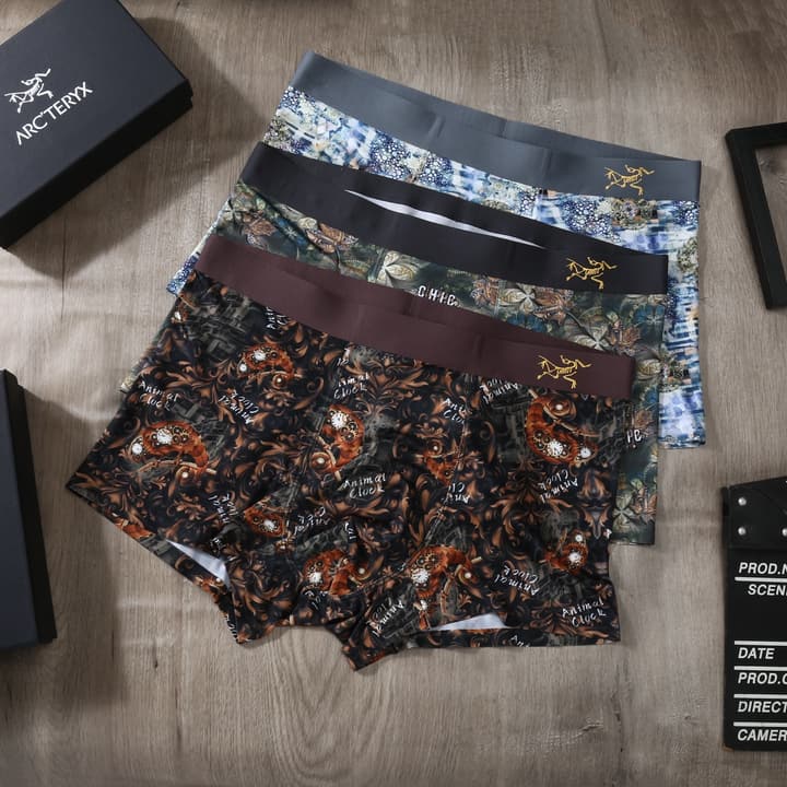 Arc'teryx Men's Ice Silk Seamless Underwear 3-Pack