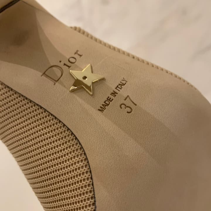 Dior J'Adior Technical Fabric Slingback Pumps in Apricot Technical Fabric