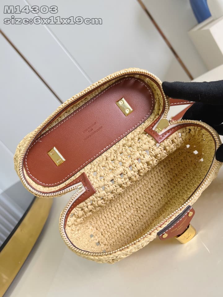 Louis Vuitton Vanity Chain Pouch – 2024 Collection