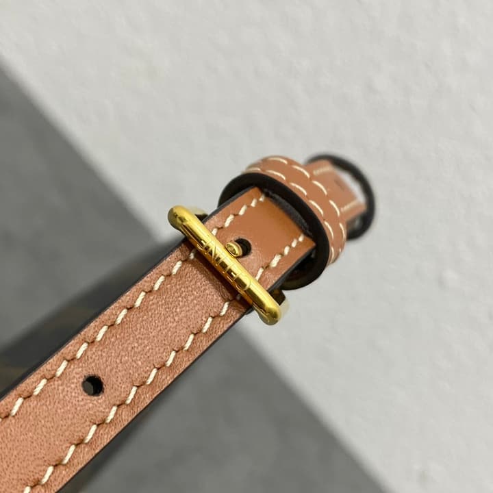 Celine Triomphe Canvas Flap Bag