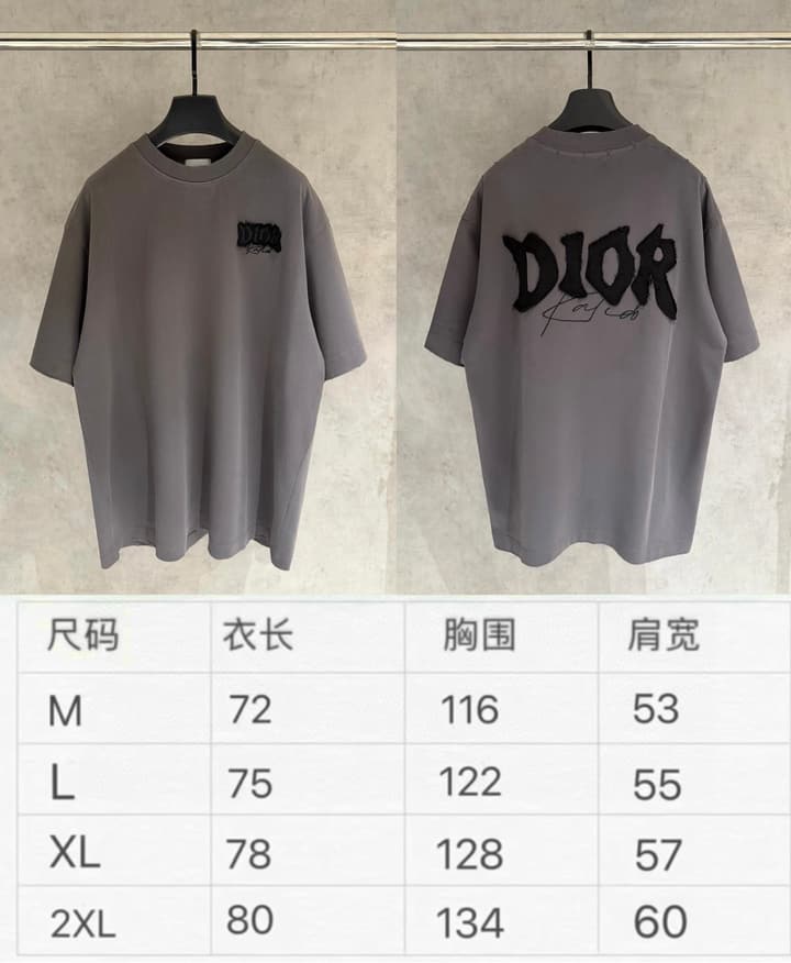Dior Patch Embroidered Heavyweight T-Shirt in Grey