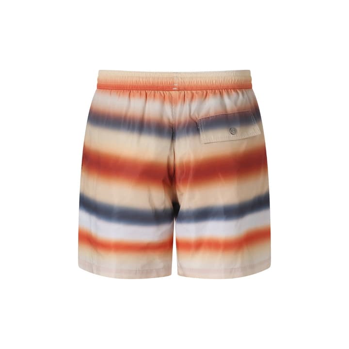 Loewe Gradient Stripe Swim Trunks in Multicolor Gradient Stripe