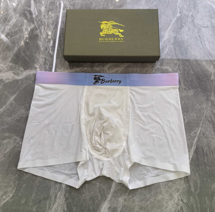 Burberry Seamless Ice Silk Underwear 3-Pack