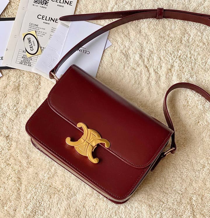 Celine Triomphe Box Calfskin Bag in Burnt Orange