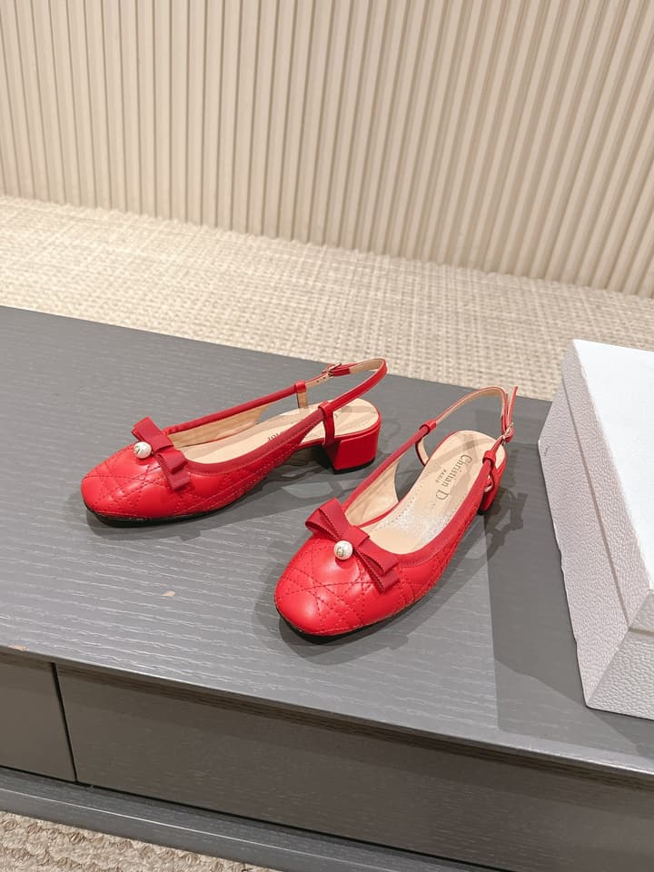 Dior D-Ramour Embroidered Cannage Ballet Flats – 2024 Spring/Summer Collection in Black Leather