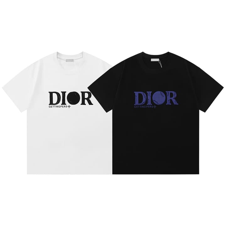 Dior x Stone Island Destroyed Logo T-Shirt – 2025 in White