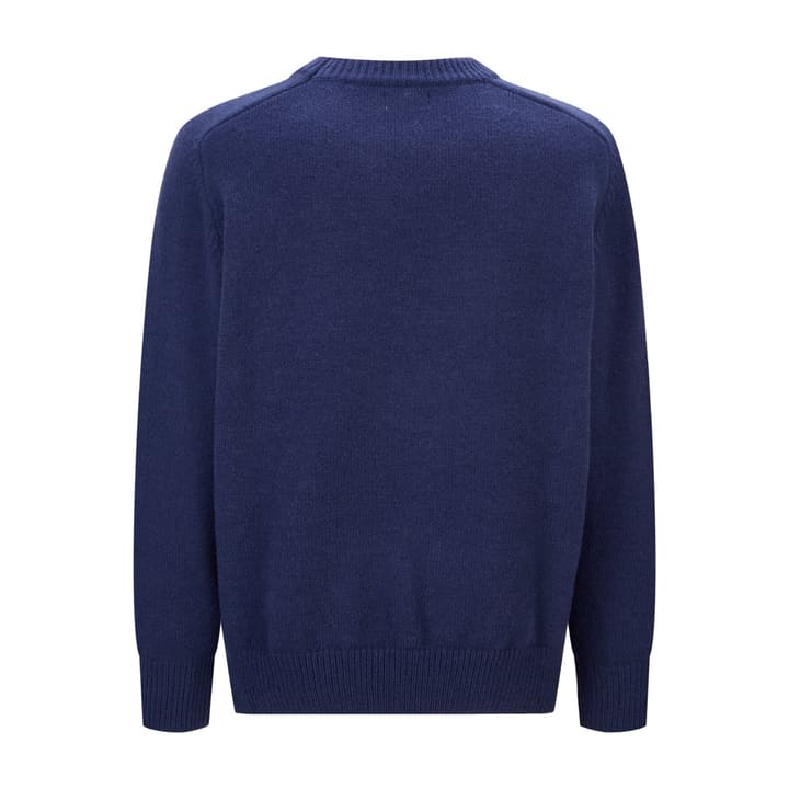 Celine Triomphe Embroidered Knit Sweater in Black