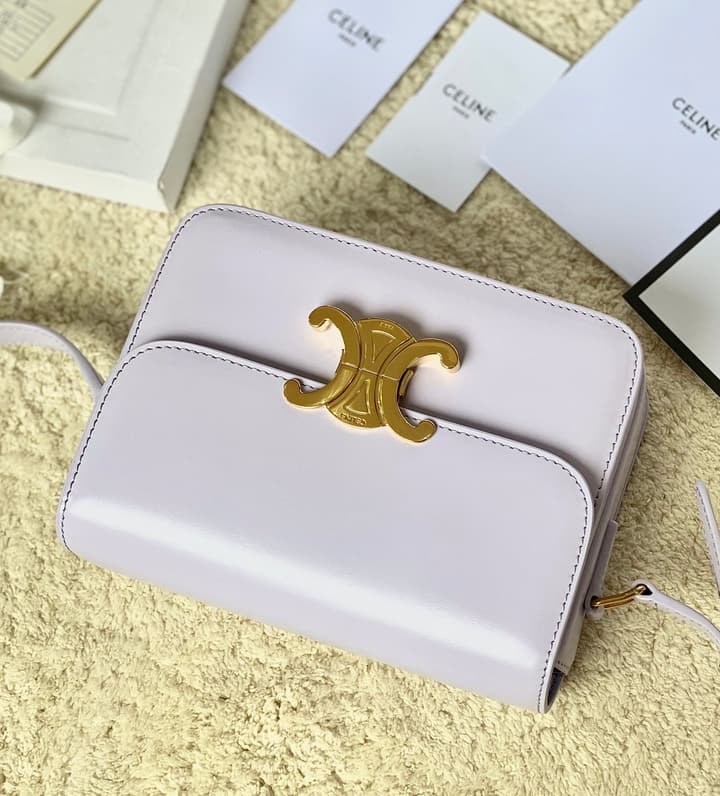 Celine Triomphe Box Calfskin Bag in Burnt Orange