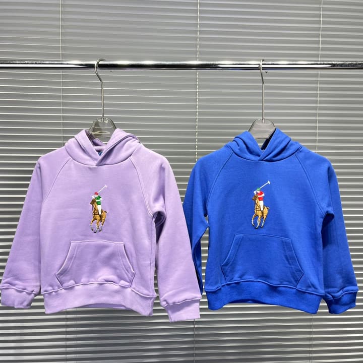 Ralph Lauren Embroidered Pony Terry Hooded Sweatshirt – Kids Collection in Bright Blue