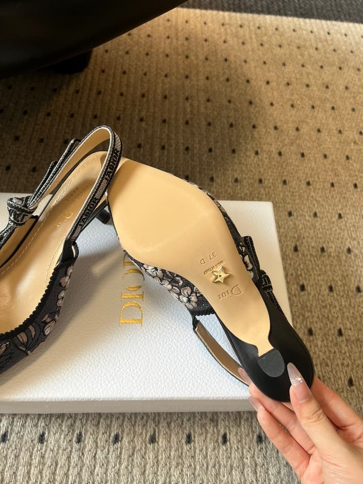 Dior Classic Multi-Color Embroidered Pumps in Black Silver Sparkle