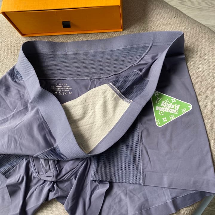 Louis Vuitton Men's Ice Silk Seamless Underwear