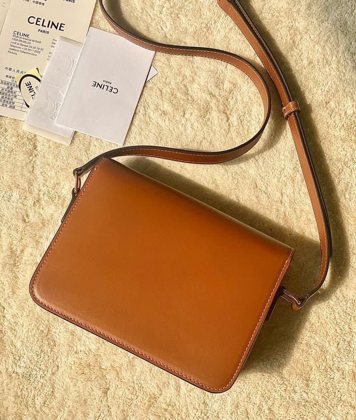 Celine Triomphe Box Calfskin Bag in Burnt Orange