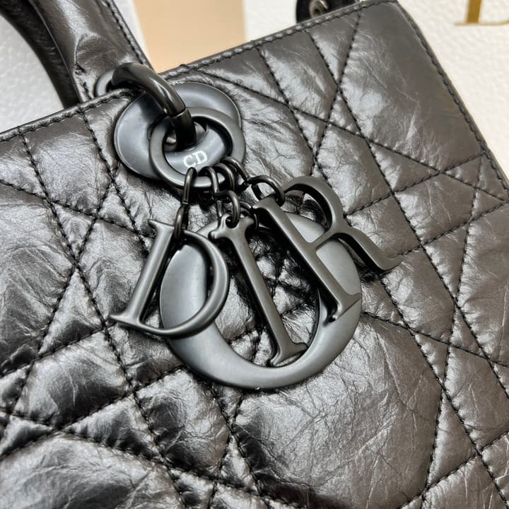 Dior Lady D-Sire My ABCDior Handbag – 24SS in Black Pleated Leather