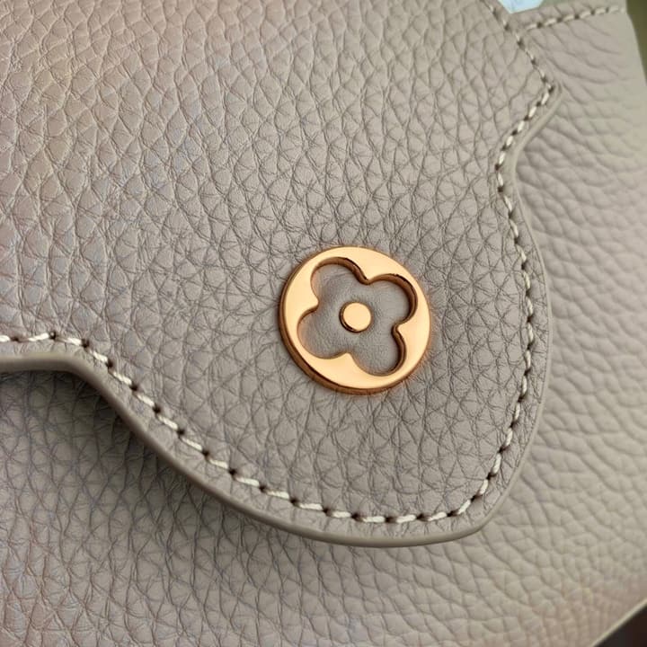 Louis Vuitton Capucines Mini Handbag