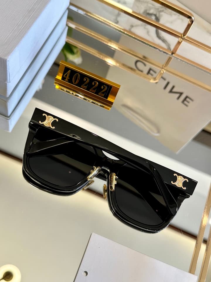 Celine Acetate Polarized Sunglasses
