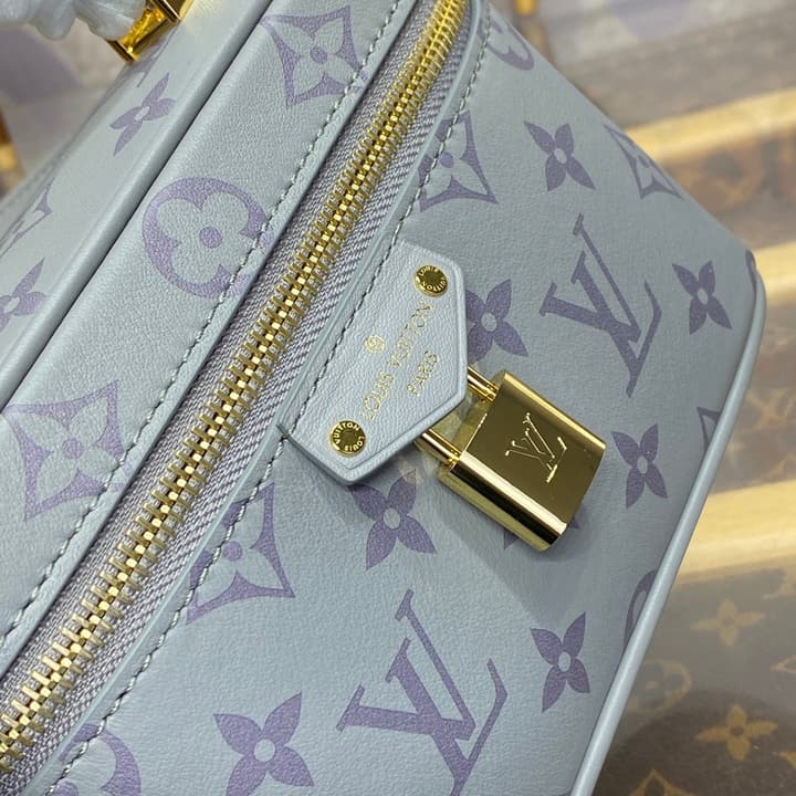 Louis Vuitton Monogram Vanity Chain Pouch – FW24