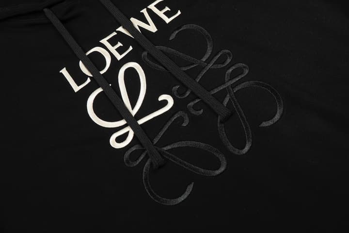 Loewe Center Logo Color-block Hooded Sweatshirt – 25SS