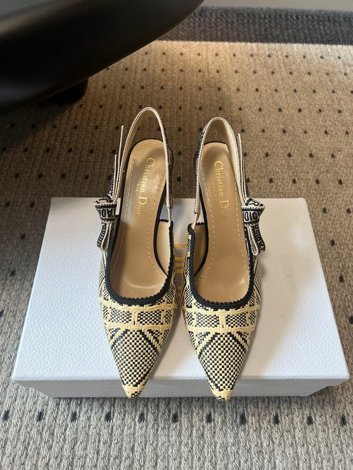 Dior Classic Multi-Color Embroidered Pumps in Black Silver Sparkle