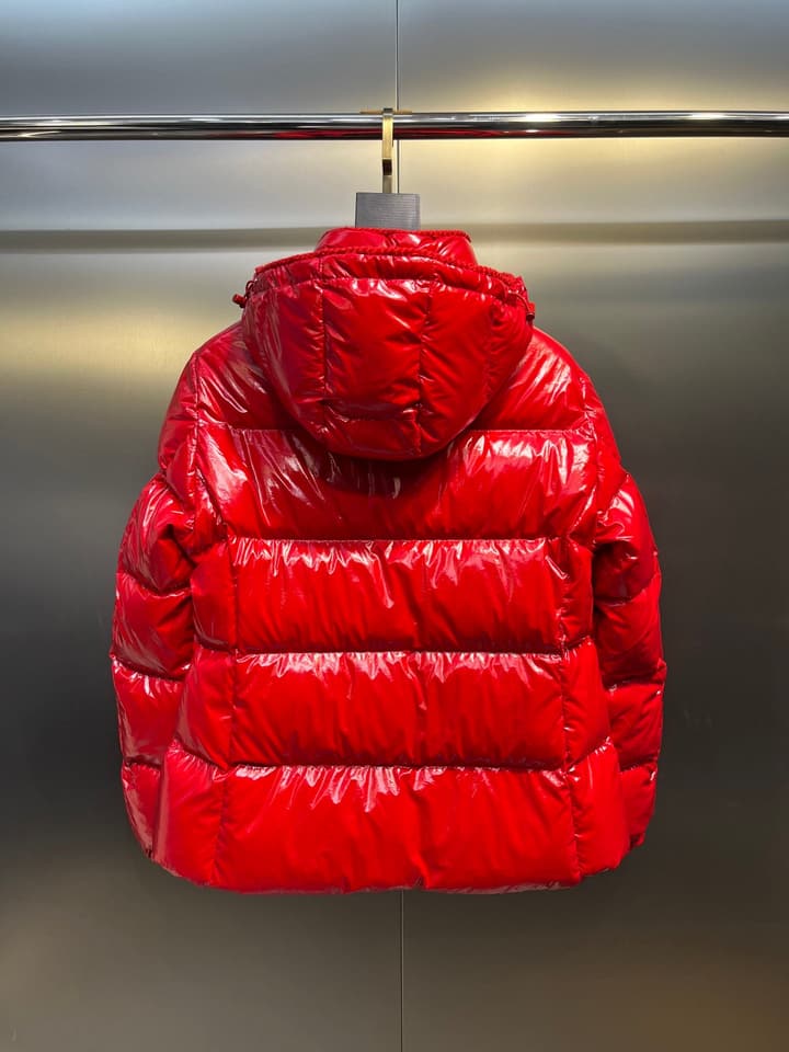 Moncler GLAREIN Hooded Down Jacket – 2025FW in Black