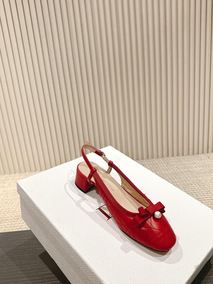Dior D-Ramour Embroidered Cannage Ballet Flats – 2024 Spring/Summer Collection in Black Leather